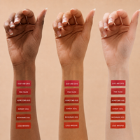 Chapterstick Matte Lipstick